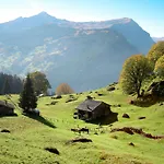 Bim Buehlmaettli 4 Bett By Interhome Lägenhet *