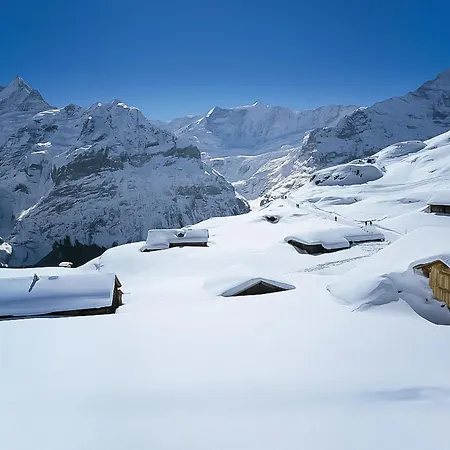 Apartmán Bim Buehlmaettli 4 Bett By Interhome Grindelwald