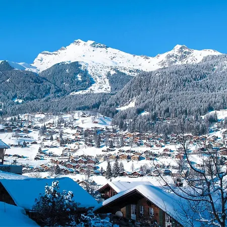 Bim Buehlmaettli 4 Bett By Interhome Daire Grindelwald