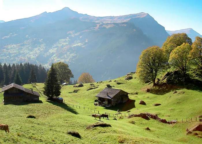 Bim Buehlmaettli 4 Bett By Interhome Apartment *