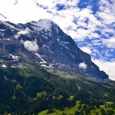 Bim Buehlmaettli 4 Bett By Interhome * Гриндельвальд